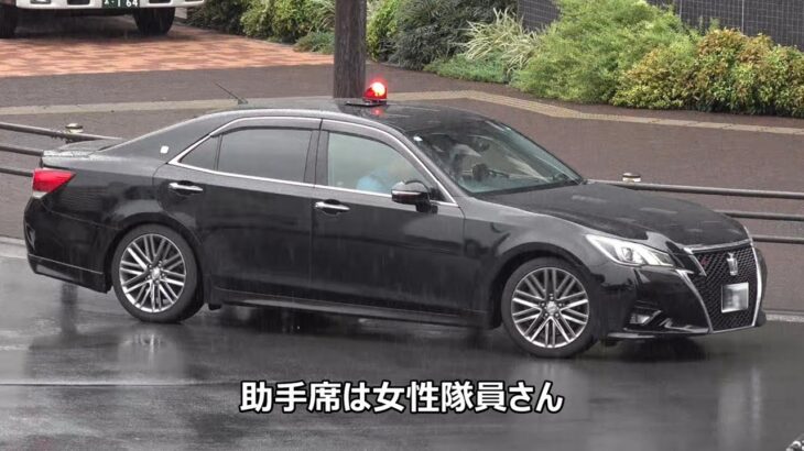 【信号無視を現認した覆面パトカー出撃！】緊急走行の東京ガス作業車が行動を起こさないドライバー連中に足止めを食らう…救急車にいち早く気付いた運転手さんが素晴らしい動き・何かを感じた自ら隊PCの職質・お盆