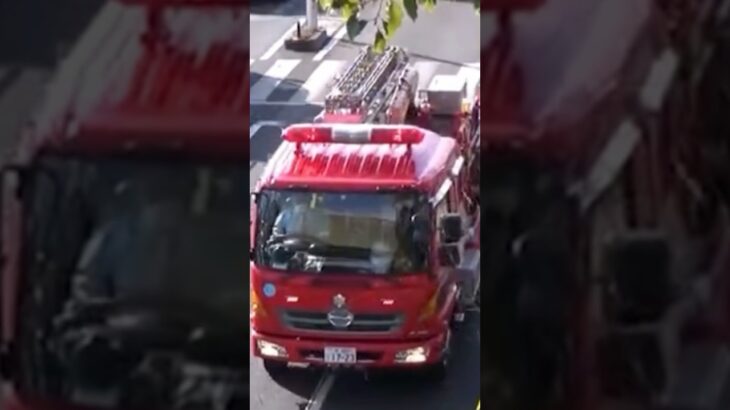 【緊急走行】東非常用タンク、北RTの代替運用中に緊急走行！【堺市消防局】#shorts #short #ショート #消防署 #消防車 #fire #firefighter #サイレン