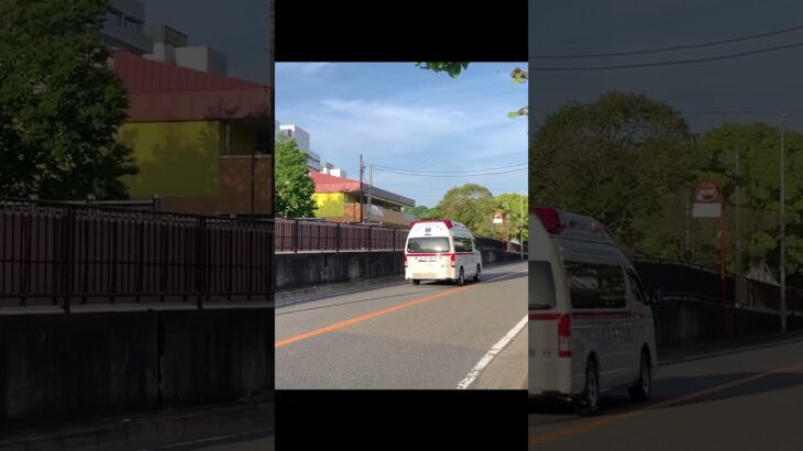 TCDサイレンを鳴らし緊急走行【善行救急隊・藤沢市消防局】