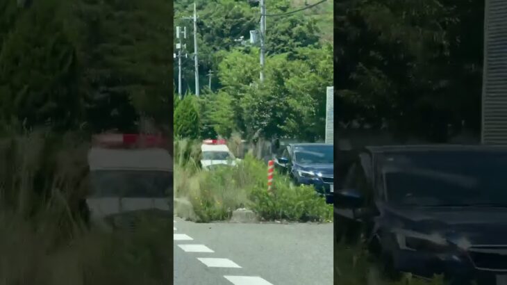 🚨兵庫県警🚨パトカー🚨パトロール🚨　#shorts