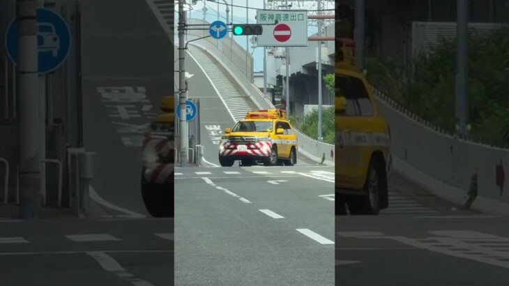 🚨大阪府警🚨パトカー🚨赤色灯🚨パトロール🚨　#shorts