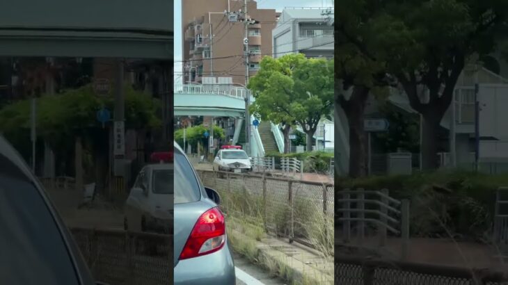 🚨兵庫県警🚨パトカー🚨パトロール🚨赤色灯🚨　#shorts