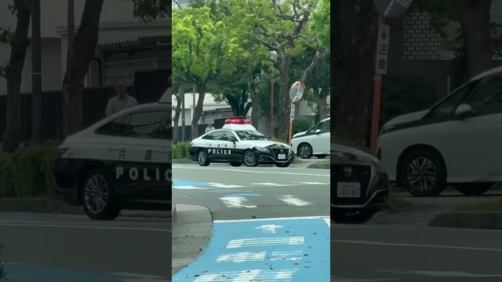 🚨兵庫県警🚨パトカー🚨赤色灯🚨　#shorts