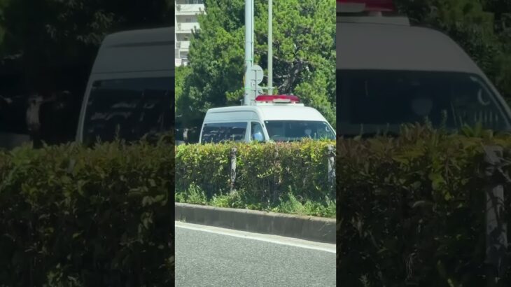 🚨兵庫県警🚨警察車両🚨走行動画🚨　#shorts