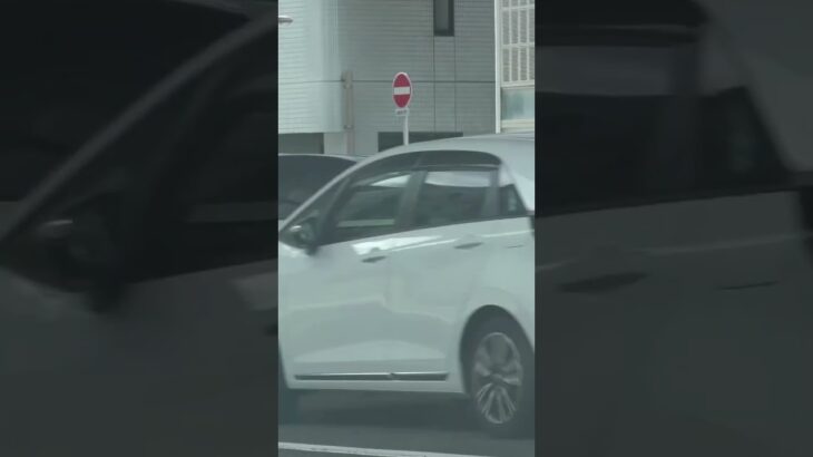 🚨白バイが違反車を捕まえる瞬間映像🚨誘導中🚨兵庫県警🚨白バイ🚨　#shorts