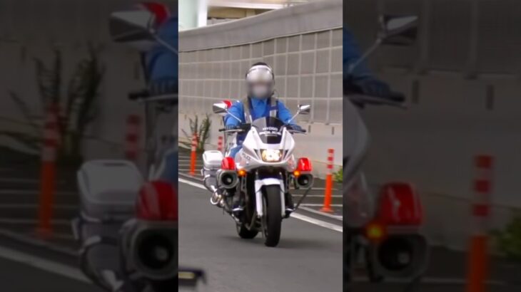 白バイが速度違反の車を捕まえる瞬間‼️ サイレン‼️ #shorts