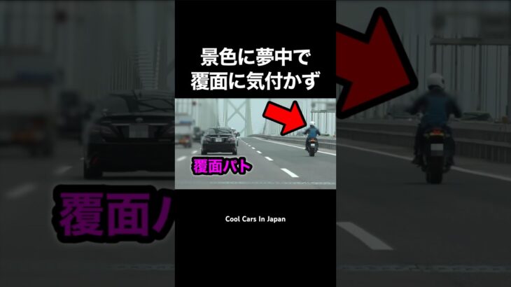 景色に夢中で覆面に気付かず捕まるバイク‼️🤣　#shorts