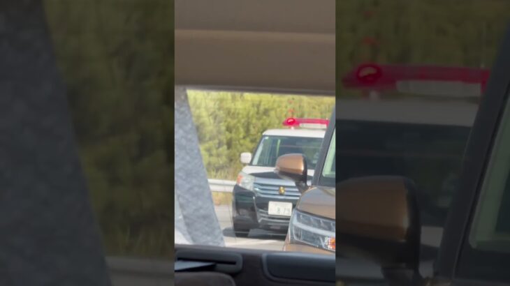 🚨兵庫県警🚨パトカー🚨パトロール🚨赤色灯🚨　#shorts
