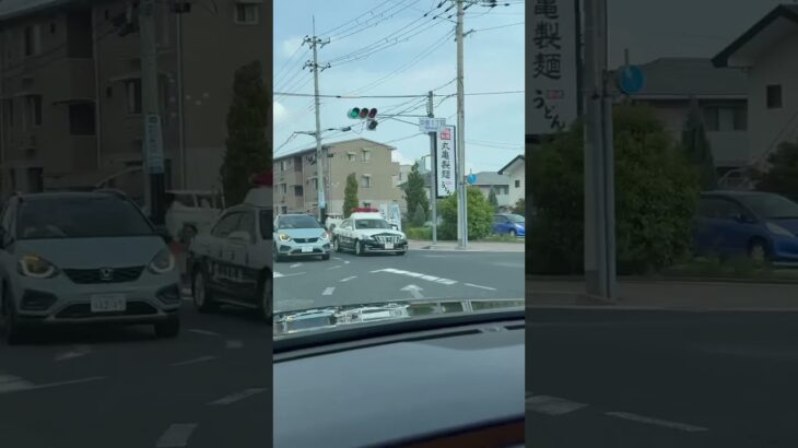 🚨兵庫県警🚨パトカー🚨パトロール🚨　#shorts
