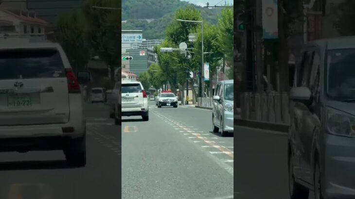 🚨大阪府警🚨パトカー🚨赤色灯🚨パトロール🚨　#shorts