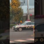 🚨兵庫県警🚨パトカー🚨パトロール🚨　#shorts