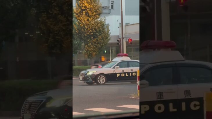 🚨兵庫県警🚨パトカー🚨パトロール🚨　#shorts