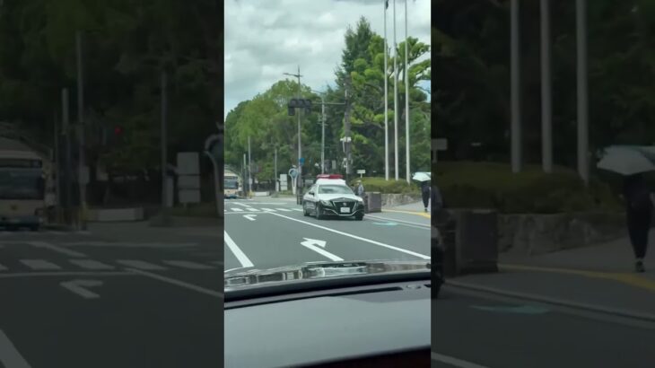 🚨大阪府警🚨パトカー🚨パトロール🚨　#shorts