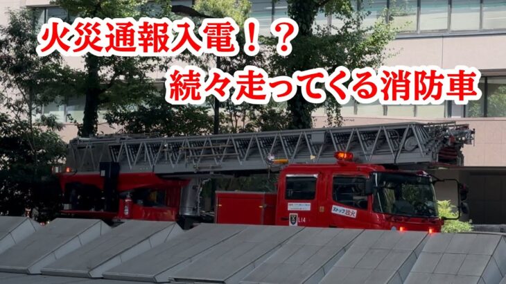 【緊急走行】火災通報！？次々やってくる消防車両！　【大阪市消防局】