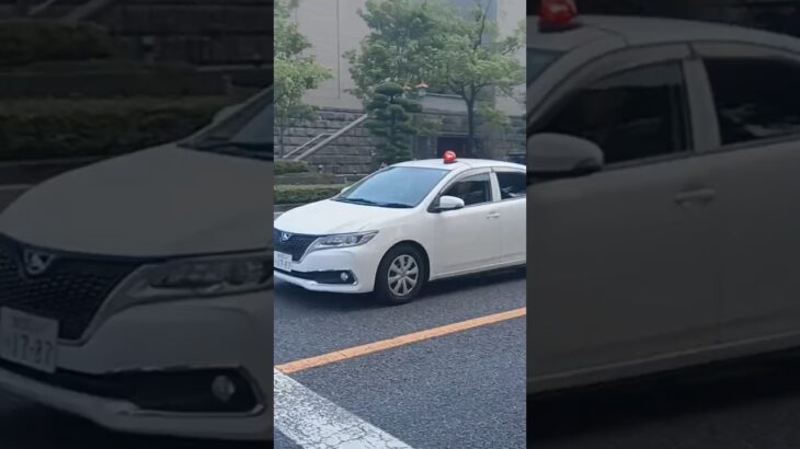 【緊急走行】クラクションを鳴らして現場へ急行！鹿児島県警察西署刑事課覆面パトカー