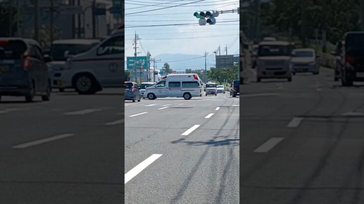 【緊急走行】鹿児島市消防局谷山救急隊（代車運用中）