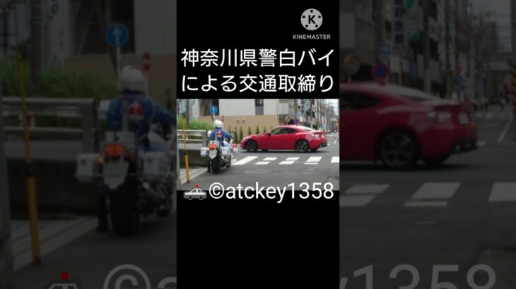 🚨神奈川県警 白バイによる交通取締り‼️