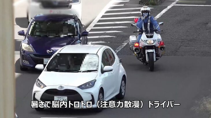 【白バイのサイレン暴発】暑さで脳内トロトロ（注意力散漫）のレンタカー違反者が一時停止無視で交通機動隊に検挙される瞬間！！！