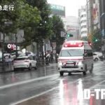 横断する歩行者の間を緊急走行する救急車！渋谷駅前スクランブル交差点より