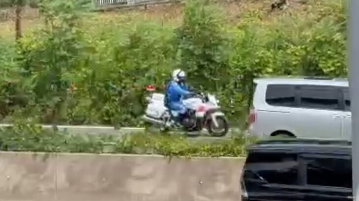 🚨白バイ🚨走行動画🚨大阪府警🚨