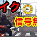 🚨激録🚨危険運転🚨信号無視をするバイク🚨