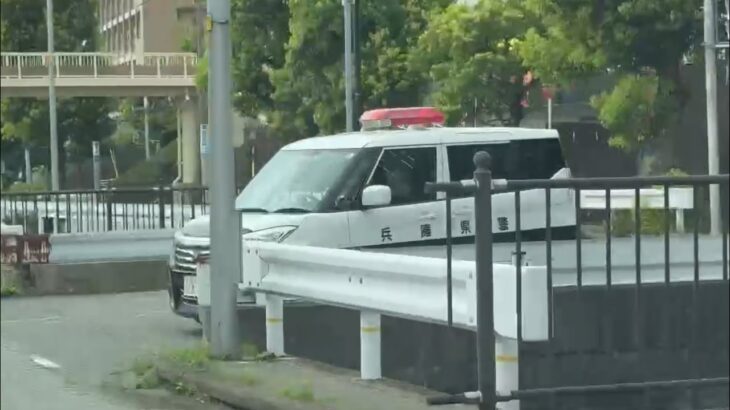 🚨兵庫県警🚨パトカー🚨赤色灯🚨パトロール🚨