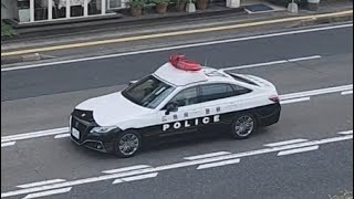パトカー　緊急走行