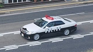 パトカー　緊急走行