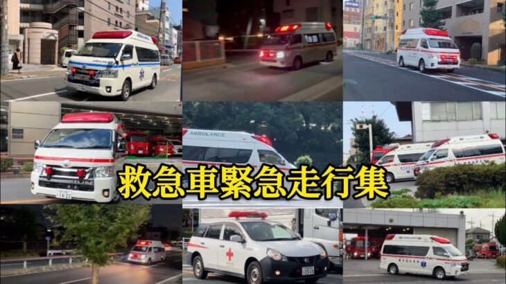 救急車緊急走行集