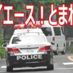 目の前で緊急走行するパトカーが追うのは、信号無視したハイエース！