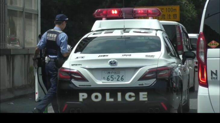 🚨違反車を捕まえたパトカー🚨兵庫県警🚨パトカー🚨交通取締り🚨赤色灯🚨
