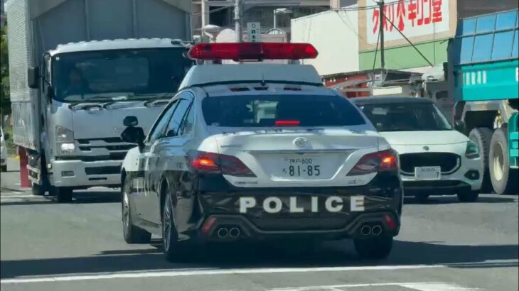 🚨兵庫県警🚨パトカー🚨パトロール🚨