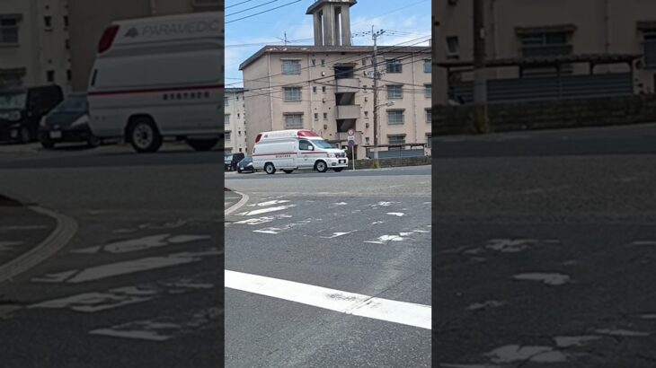 【緊急走行】鹿児島市消防局谷山救急隊（代車運用中）