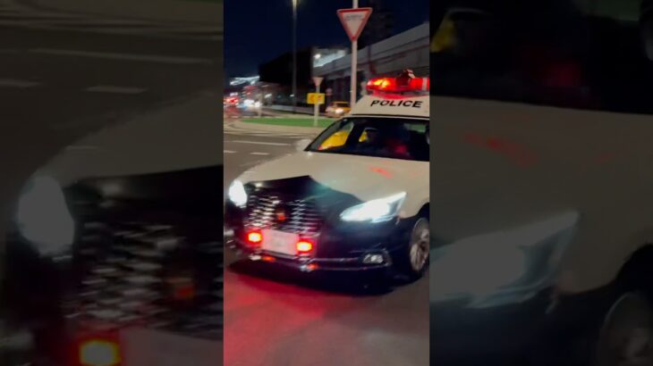 パトカー緊急走行🚨