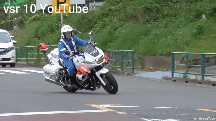 【ベビーカーの真横を素通り！！】乳幼児を殺めるつもりか！？白バイがお前だけは許さんと緊急走行！•信号は青なのに動かない車両！この後どうする？•女性ドライバー我慢出来ずイエローカット！等