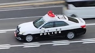 パトカー　緊急走行