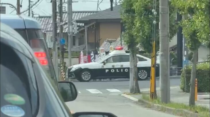 🚨赤信号の交差点を緊急走行するパトカー🚨兵庫県警🚨サイレン🚨赤色灯🚨