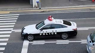 パトカー　緊急走行