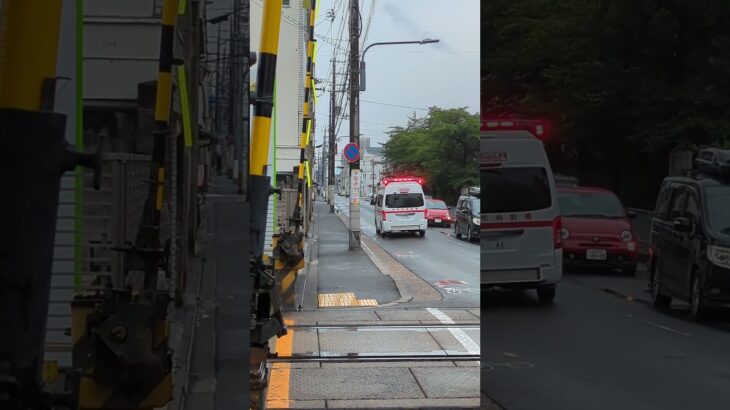 踏切通過からの救急車緊急走行　#救急車 #路面電車　#緊急走行 #踏切