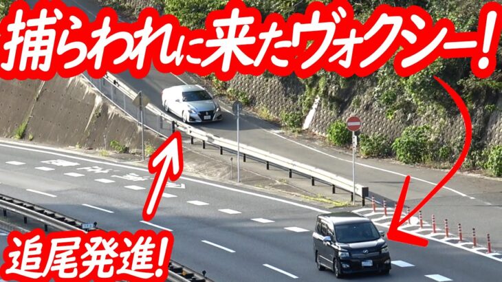 絶妙なタイミングで捕まりに来たヴォクシー！戦闘態勢を整える間も無い覆面パトカーが追尾検挙の瞬間！【覆面パトカーと白バイによるスピード違反取り締まり】
