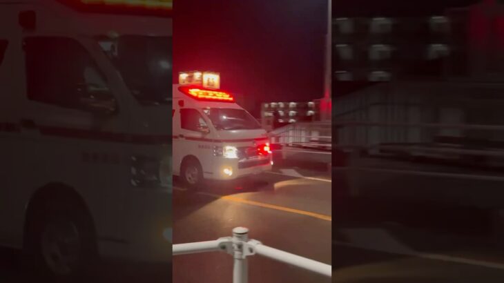 【ハーモニックサイレン🚨】春日部市消防本部　救急幸松1。救急車。緊急走行シーン！