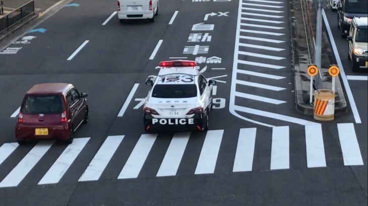 【緊急走行】豊野町の交差点を通過！大阪府警   220系クラウンハイブリッドパトカー