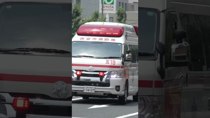 【緊急走行】救急3連続入電！夏限定の西宮消防署3隊運用！瓦木19緊急出動！【西宮市消防局】#shorts #short #ショート #消防署 #消防車 #fire #firefighter #サイレン