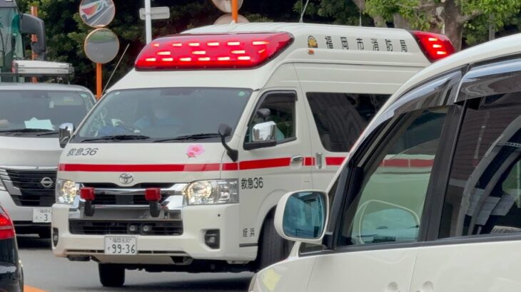 【福岡市消防局】西本署姪浜救急小隊 救急36(市村Ⅰ号)緊急走行
