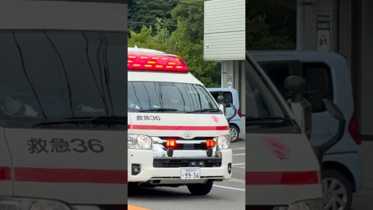 #福岡市消防局 #救急車 今日の夜7:00から公開！西本署姪浜救急小隊 救急36(市村Ⅰ号)緊急走行