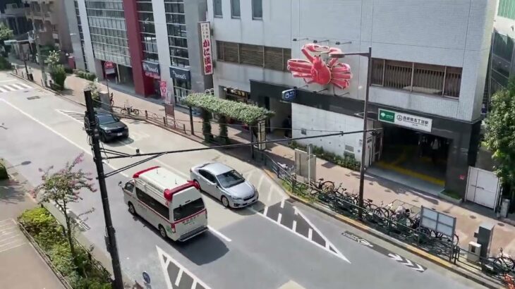救急車 #消防 #消防車 #消防車両 #緊急車 #緊急車両 #緊急出動#特殊#Ambulance#shorts#緊急走行#サイレン#119#110#はたらくくるま