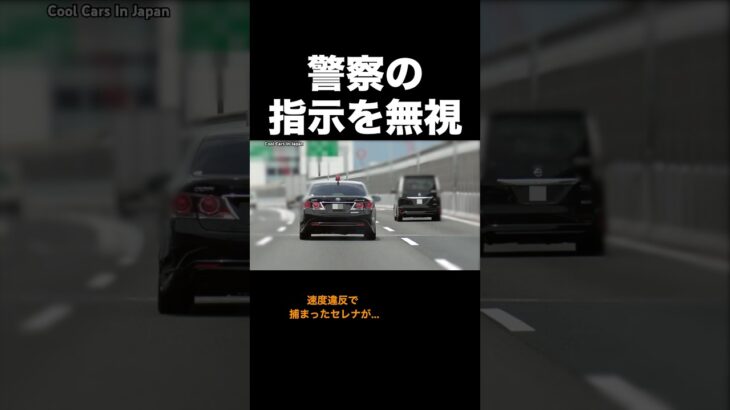 警察の指示を無視するDQNセレナ⁉️ #覆面パトカー #shorts