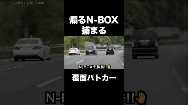 煽るN-BOXに天罰‼️ 覆面パトカーに捕まる‼️ #shorts