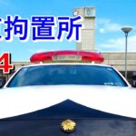 【東京拘置所のZ34】練馬の品川Z34  ２台のNISMO  Z  警視庁高速パトカー  Tokyo Detention House  Nissan 370Z