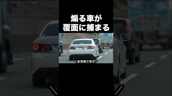 レクサスを煽る軽自動車が覆面パトカーに捕まる‼️ #shorts
